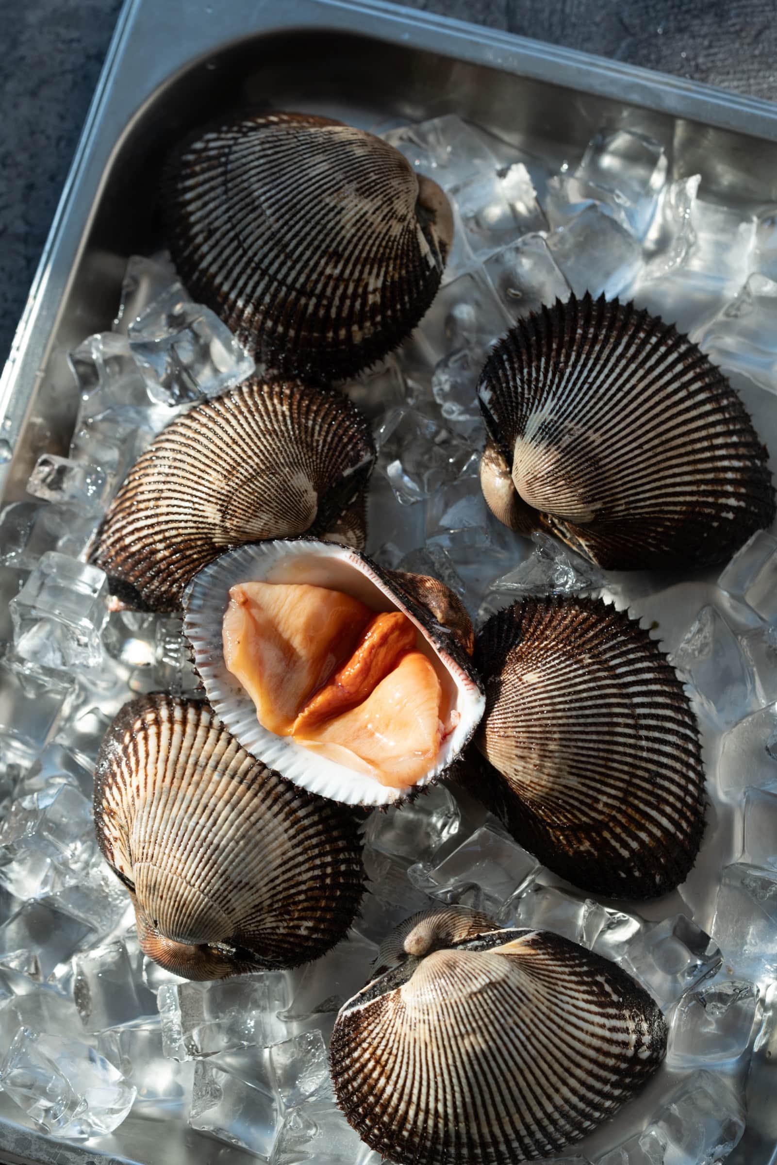 Fresh cockles on crushed ice, one shell open revealing vivid orange roe